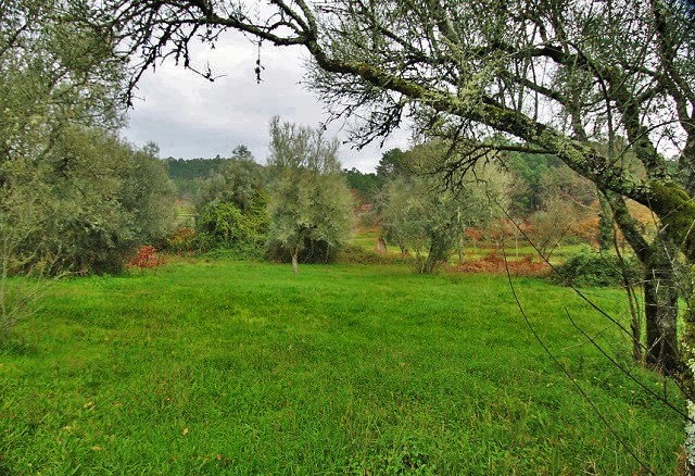€30.000 - ref. 685.116