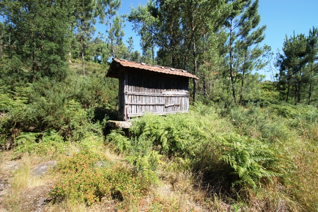 € 50.000 - ref. 670.714